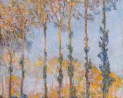 克劳德 莫奈 : Poplars, White and Yellow Effect